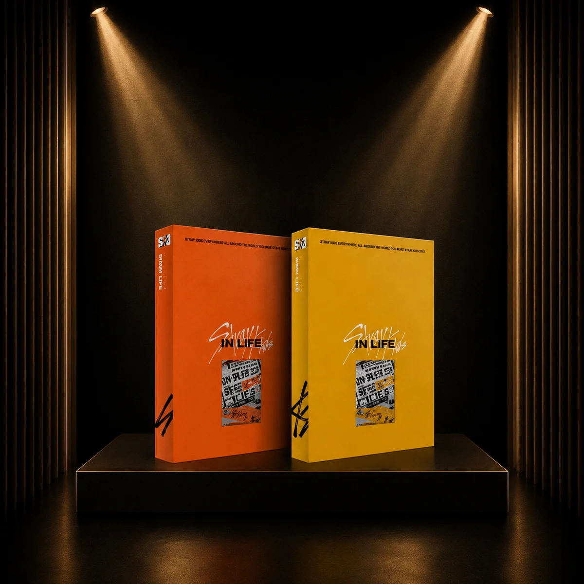 Stray Kids · IN生 (IN LIFE) · Repackage · Standard Ver.